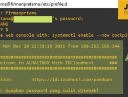 Custom Login Screen Terminal AlmaLinux 8.4 / 8.5 idcloudhost